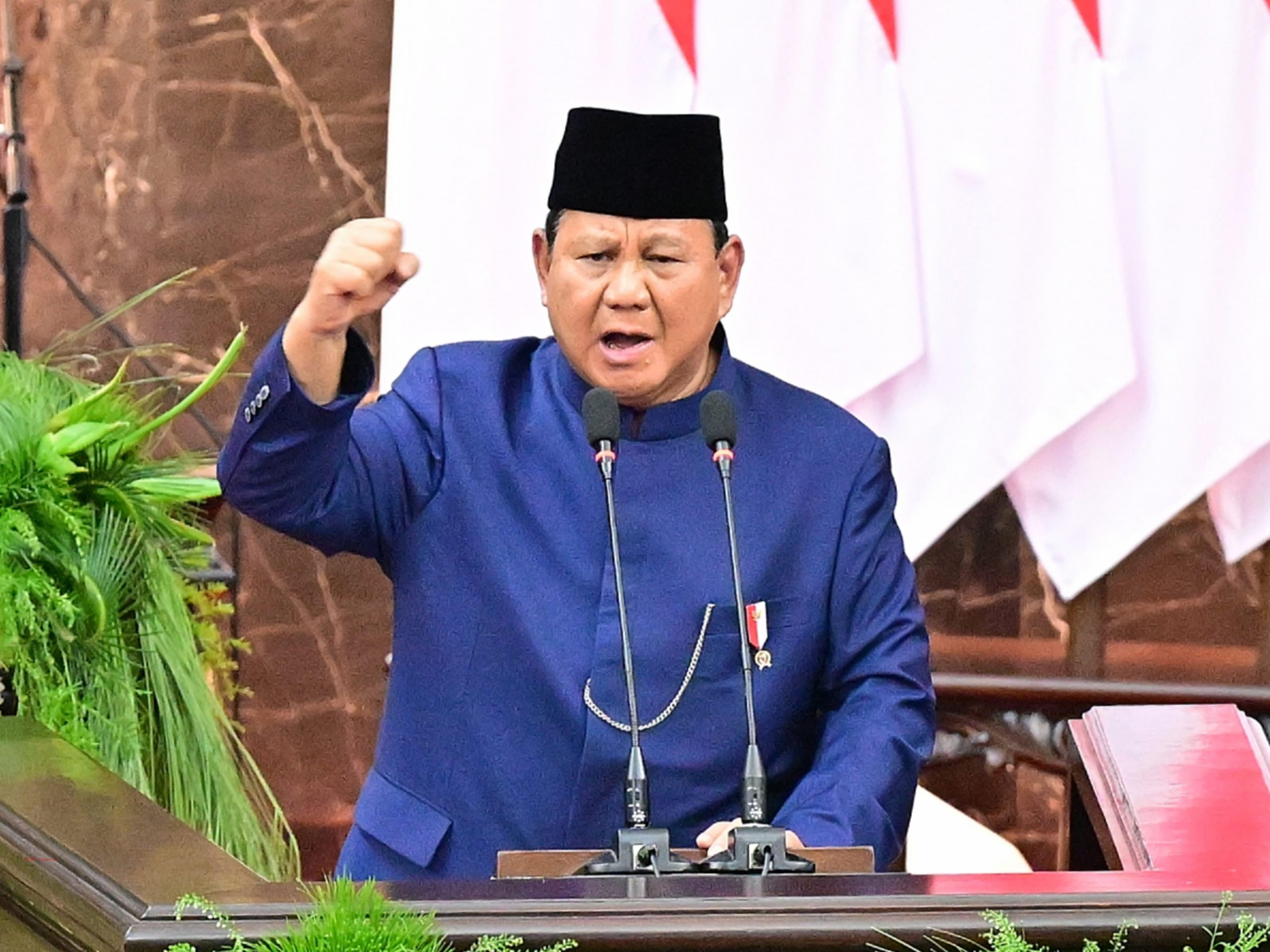 Prabowo Subianto Mengungkap Target Swasembada Pangan dan Energi