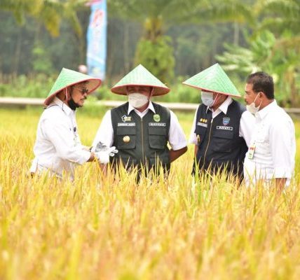 WMO dan FAO Peringatan Dini Bagi Sektor Pertanian