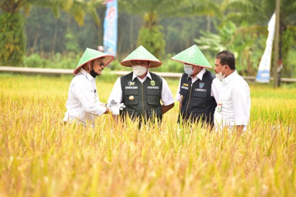 WMO dan FAO Peringatan Dini Bagi Sektor Pertanian