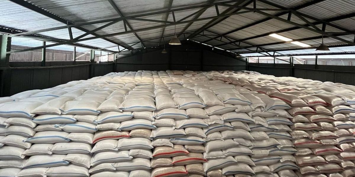 Kebijakan Ekspor Beras: Bos Bapanas Pilih Berhati-hati Meski Produksi Melimpah