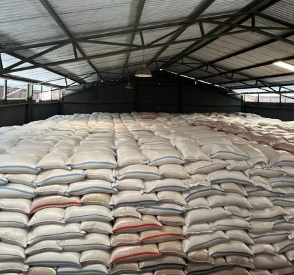 Kebijakan Ekspor Beras: Bos Bapanas Pilih Berhati-hati Meski Produksi Melimpah