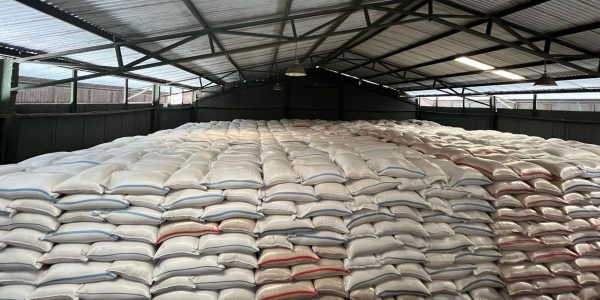 Kebijakan Ekspor Beras: Bos Bapanas Pilih Berhati-hati Meski Produksi Melimpah