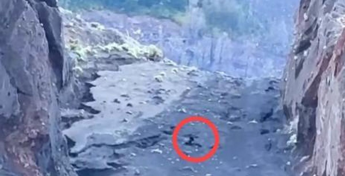 Tragedi Mendaki Rinjani: Turis Brasil Jatuh ke Jurang 200 Meter